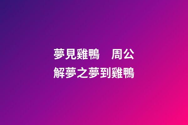 夢見雞鴨　周公解夢之夢到雞鴨